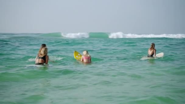 Jonge Diverse Vrouwen Surfen Surfplanken Paardrijden Golven Oceaan Bij Zonsopgang — Stockvideo