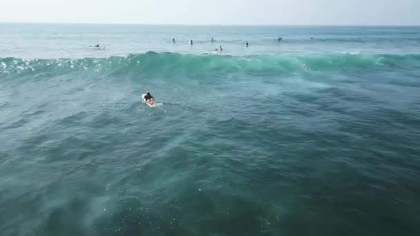 Joven Surfista Femenina Remando Sobre Tabla Surf Aguas Cristalinas Del — Vídeo de stock