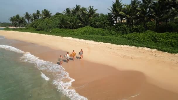 Surfer Girls Walking Beach Ocean Tide View Drone Aerial Shot — Stock Video