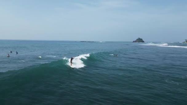 Młoda Surferka Rzeźbi Małą Zieloną Falę Sri Lance Profesjonalna Surferka — Wideo stockowe