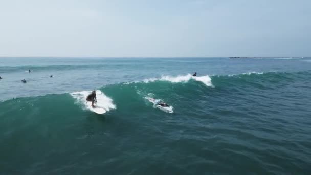 Jan 2023 Midigama Sri Lanka Jonge Vrouwelijke Surfer Snijdt Een — Stockvideo