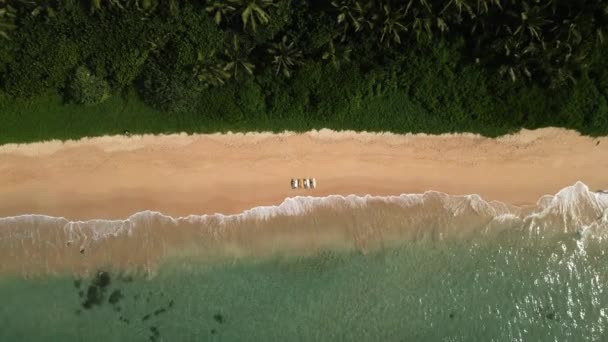 Vista Aérea Uma Mulher Deitada Praia Com Uma Prancha Surf — Vídeo de Stock