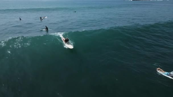 Januar 2023 Midigama Sri Lanka Junge Surferin Schnitzt Eine Kleine — Stockvideo