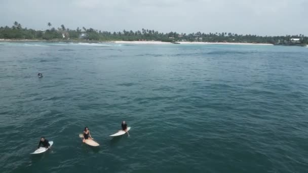 Jan 2023 Midigama Sri Lanka Widok Lotu Ptaka Surferów Deskach — Wideo stockowe