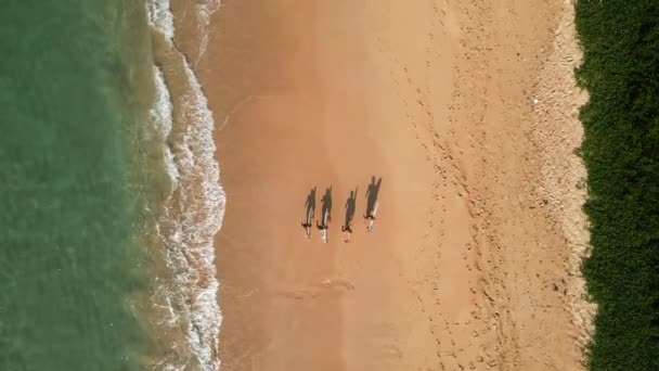 보드를 해변을 여성서 그림자들의 드론에서 바다의 조수를 해변을 파도타기하는 소녀들 — 비디오