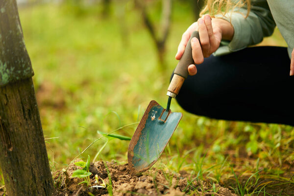 Female hands holding small garden shovel. Farmer woman sitting in garden digging soil with trovel taking close-up shot. Young gardener in orchard loosening ground. Farming and gardening concept.