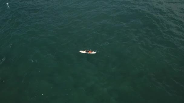 在阳光明媚的日子里 年轻的女冲浪手乘坐冲浪板在美丽的热带海域航行 冲浪女孩享受水上体育划桨和冲浪夏季度假观景无人驾驶飞机 — 图库视频影像