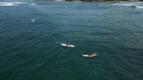 Mujeres Jóvenes Surfistas Remando Tabla Surf Pintoresco Lugar Tropical Mar — Vídeo de stock