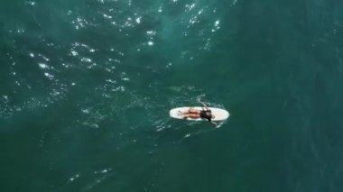 Genç bayan sörfçü güneşli bir günde deniz manzaralı tropik bir yerde sörf tahtasında kürek çekiyor. Sörfçü kız yaz tatilinde İHA 'dan sörf ve kürek çekmekten zevk alıyor..