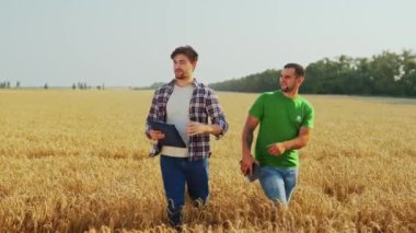 Çiftçiler buğday tarlasında yürür, hasat planını tartışırlar. Agronomist, dokunmatik tabletli ev sahibi tarım ürünlerinin hasat verimliliği konusunda pazarlık yapıyor. Tarım alanında modern teknolojiler. Akıllı çiftçilik.