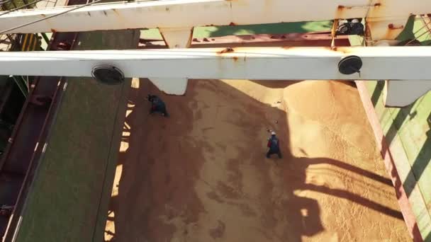 Mitarbeiter Der Schädlingsbekämpfung Bei Der Begasung Frachtraum Eines Getreidebulkerschiffs Männer — Stockvideo