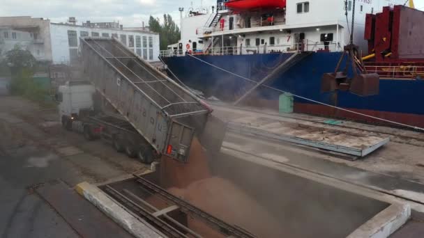 2021 09ウクライナのマリウポリ Ukrtransagro Llc 穀物のローリーは 海港の穀物ターミナルで荷降ろし 小麦はダンプトラック本体から注いでいます 開かれた貨物を持つばら積み船はバースに係留されています — ストック動画