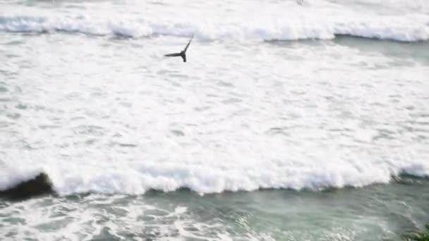 潮の上を飛んでいる海岸と鳥に対して破壊する海の波 波状の澄んだ海の壮大な景色と上を飛ぶ海獣 — ストック動画