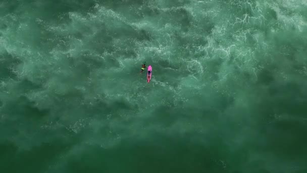 サーファーカップルは晴れた日の空中ビューで透明な海の水のサーフボードに浮かんでいます 2人のサーファーが夏休みのドローンショットでラインナップに向かってパドル 海の真ん中のサーフボードに乗っている人たち — ストック動画