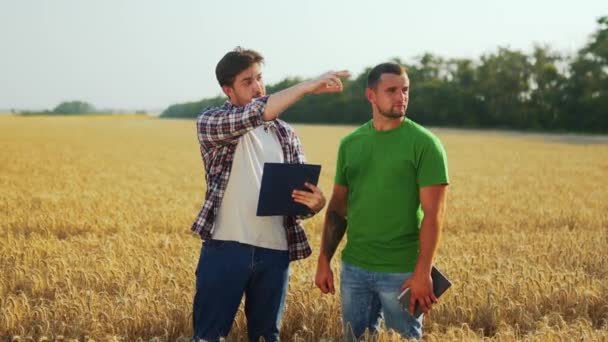 Farmers Stand Wheat Field Discuss Agronomist Logistics Agent Touch Tablet — Stock Video