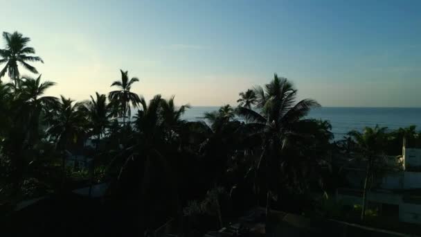 从无人驾驶飞机上俯瞰海滨热带城市 海滨一个小度假胜地的空中风景 斯里兰卡米里萨市的建筑物 棕榈树和海滨大道 离岛天际线 — 图库视频影像