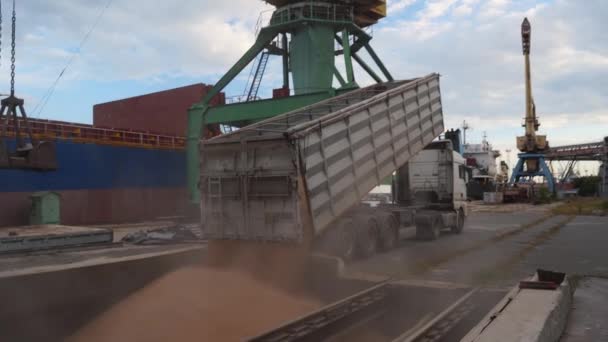 2021 Mariupol Ukraina Ukrtransagro Llc Wyładunek Ziarna Ciężarówki Terminalu Zbożowym — Wideo stockowe
