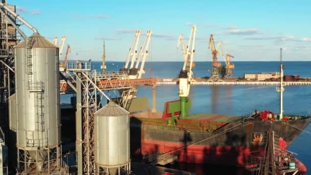 Luchtfoto Van Tarwebelading Naar Bulkerschip Vrachtruim Bij Zeegraanlift Zeehaven Tarwe — Stockvideo