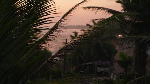 Prachtige Tropische Oranje Zonsondergang Met Tropische Palmbomen Silhouetten Dichte Palmbladeren — Stockvideo