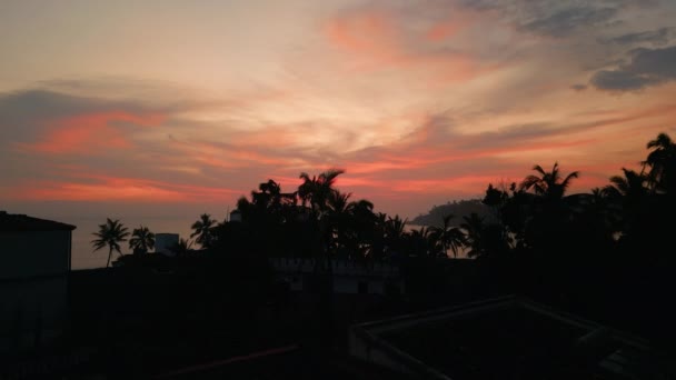 在海洋无人机的镜头上 映衬着生动而血腥的落日 艳丽多云的天空 粉色和橙色的落日 奇异热带岛屿空中棕榈树的黑色轮廓 — 图库视频影像