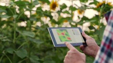 Çevrimiçi veri yönetim yazılımı kullanan çiftçi, diferansiyel gübre uygulama haritaları, slayt çizelgeleri. Agronomist tarım sektörünü kontrol etmek ve analiz etmek için dokunmatik ekranla çalışır. Hassas tarım.