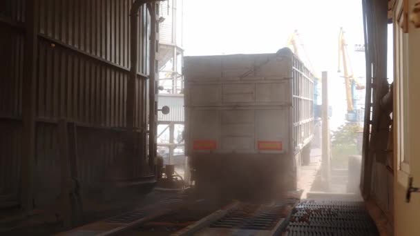 卸货时在终点站倒小麦 卸货卡车或谷物卡车 农产品运输到筒仓仓储 食品供应链与物流 一种升降液压平台卸料机 — 图库视频影像