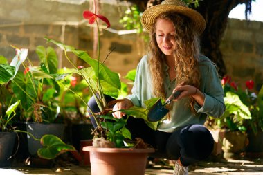Hasır şapkalı genç kadın bahçıvan elinde kürekle saksı bitkileriyle ilgileniyor. Bahçesinde oturmuş saksılara çiçek eken beyaz bir kadın gülümsüyor. Bahçıvanlık ve tarım kavramı.
