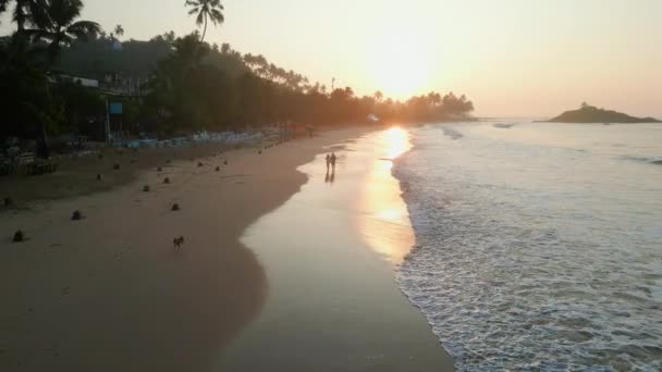 Пара Держащихся Руки Прогулок Тропическому Пляжу Вдоль Прилива Морю Съемках — стоковое видео