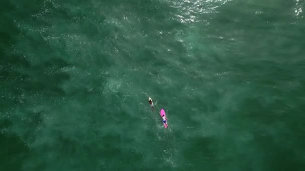 Surfista Casal Fileira Pranchas Surf Água Cristalina Oceano Dia Ensolarado — Vídeo de Stock