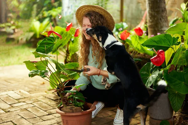 stock image Young woman cuddling and snuggling with her pet dog laughing. Caucasian female gardener with trowel planting flowers in pots in her garden smiling happily. Gardening concept. People and pets concept.