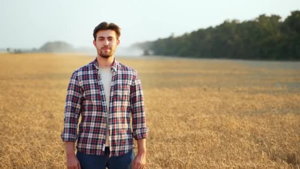 Olgun Buğday Tarlasında Göğsünde Kolları Çapraz Duran Mutlu Çiftçinin Portresi — Stok video