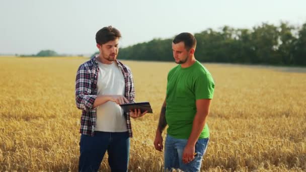 Zemědělci Obchodníci Podepisují Dohodu Dodávkách Obilí Potřesou Rukou Pšeničném Poli — Stock video
