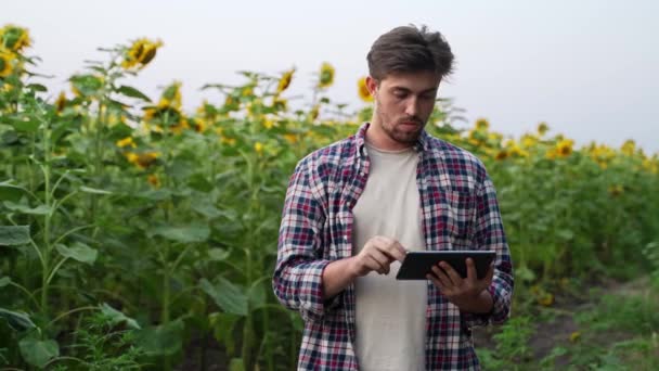 Hombre Agricultor Agrónomo Con Tableta Digital Pie Campo Girasol Utilizando — Vídeos de Stock