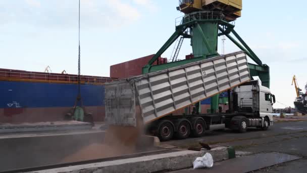 2021 Mariupol Ukrayna Ukrtransagro Llc Tahıl Kamyonu Bir Deniz Limanındaki — Stok video