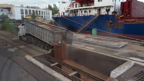 2021 Mariupol Ucrania Ukrtransagro Llc Descarga Camiones Grano Una Terminal — Vídeos de Stock
