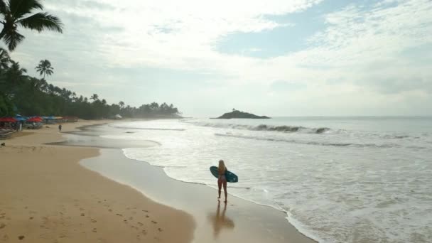 Woman Surfer Swimsuit Holds Surfboard Walks Beach Ocean Aerial View — Stock Video
