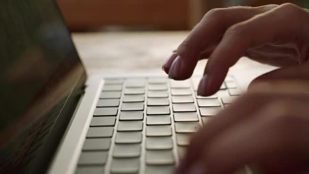 日落时分 一个女人在户外热带咖啡馆的笔记本电脑键盘上打字 人们坐在户外与冰茶合作 用笔记本发短信 在电视上聊天的人写一篇文章的博客 — 图库视频影像