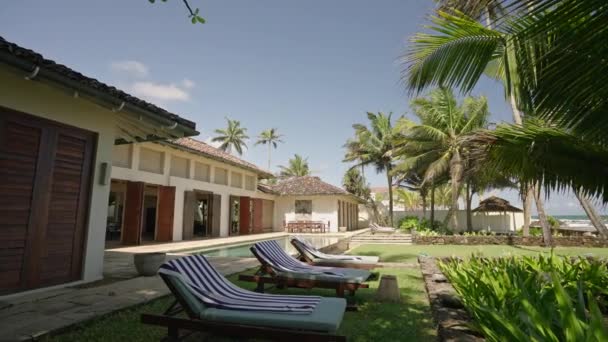 Luxuosa Moradia Resort Com Piscina Gramado Verde Com Palmeiras Perto — Vídeo de Stock