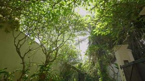 Magischer Exotischer Garten Vor Luxusvilla Auf Tropischer Insel Gartenhaus Freien — Stockvideo