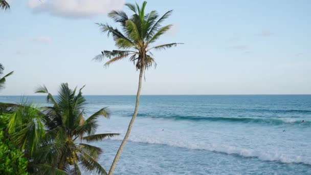 Paesaggio Tropicale Dell Isola Paradisiaca Sera Con Palme Cocco Primo — Video Stock