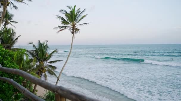 Tropická Krajina Rajského Ostrova Večerních Hodinách Kokosovými Palmami Popředí Modrým — Stock video