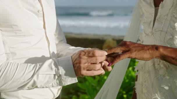 Multiraciaal Homo Paar Bestemming Bruiloft Ceremonie Gezet Gouden Ringen Vingers — Stockvideo