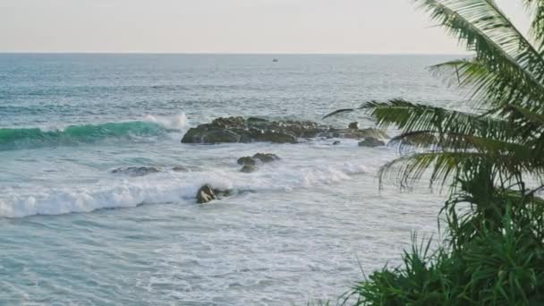 在炎热的南方国家热带岛屿上 海岸闪烁着海洋和棕榈树的光芒 洛基海岸是天堂的旅游胜地 背景是蓝天的椰树丛林中 — 图库视频影像