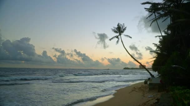Ocean Landscape Small Foam Waves Tropical Resort Sandy Beach Coconut — Stock Video