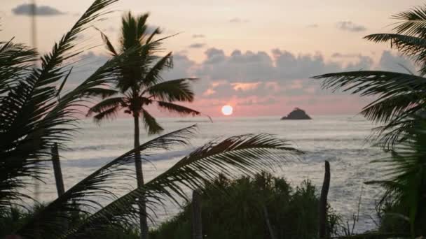 Tropical Coconut Trees Backdrop Sunset Ocean Southern Country Sun Sets — Stock Video