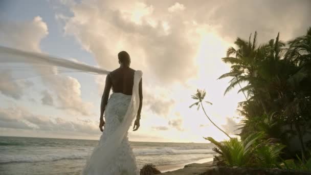 日落时 穿着婚纱的非二元黑色模特在靠近海洋的热带海滩上摆姿势 色彩艳丽的人站在那里 风中飘扬着飘逸的面纱 时尚的看相机 Lgbtq男新娘 — 图库视频影像