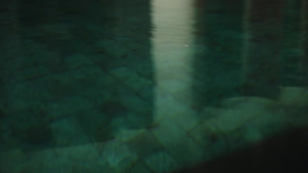 Рябь Поверхности Бирюзовой Воды Бассейне Отражает Пальмовое Небо Солнечный Свет — стоковое видео