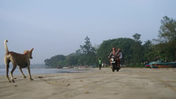 Călătorii Călătoresc Motocicleta Trec Plaja Nisip Răsăritul Soarelui Bărbatul Femeia — Videoclip de stoc