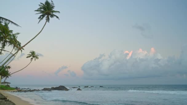 Oceánská Krajina Malými Pěnovými Vlnami Tropickém Letovisku Písečnou Pláží Kokosovými — Stock video