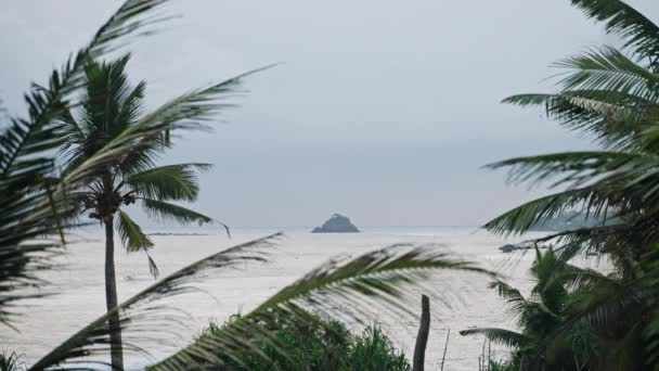 Úžasný Výhled Pobřeží Oceánu Palmami Ostrově Paradise Tropické Rostliny Pobřeží — Stock video